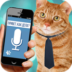 Cat to Human Translator Prank icon