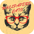 Cat wallpapers HD - Cat Pictures HD APK