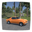 Real American Muscle Car Driving Simulator