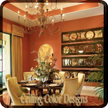 Ceiling Color Designs