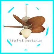 Ceiling Fan With Lighting