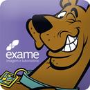 APK Pediatria Exame - Scooby-Doo
