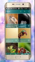 Chameleon Wallpapers 截圖 1