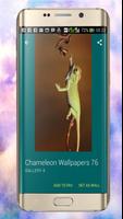 Chameleon Wallpapers imagem de tela 2
