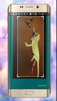 Chameleon Wallpapers imagem de tela 3