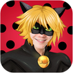 Chat noir Style Camera