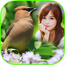 Bird Frame Collage APK