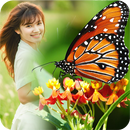 Butterfly Frame Collage APK