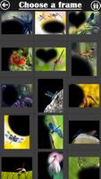 Dragonfly Frame Collage captura de pantalla 1