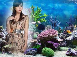 Ocean Frame Collage الملصق
