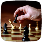 Guia de aulas de xadrez ícone