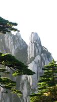 Huangshan Live Wallpaper Affiche