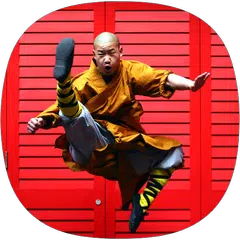Kung Fu Guide APK download