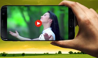 Chinese (Guzheng) Videos Songs2018 screenshot 1