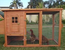 Chicken House Design پوسٹر