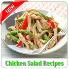 Chicken Salad Recipes ícone