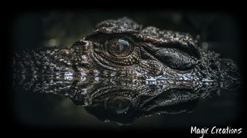 Alligator Wallpaper imagem de tela 2