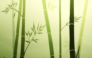 Bamboo Live Wallpaper 截圖 3