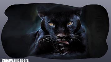 Black Panther Wallpaper capture d'écran 3