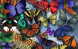 Butterfly Live Wallpaper screenshot 2