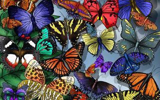 Butterfly Live Wallpaper capture d'écran 2