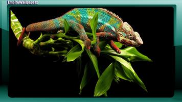 Chameleon Wallpaper Plakat