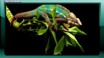 Chameleon Wallpaper syot layar 1