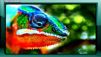 Chameleon Wallpaper syot layar 2
