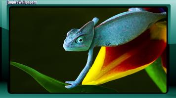 Chameleon Wallpaper capture d'écran 3