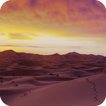 Dunes Wallpaper
