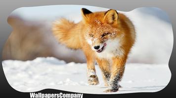 Fox Animal Wallpaper capture d'écran 2