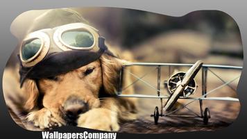 Golden Retriever Wallpaper captura de pantalla 3