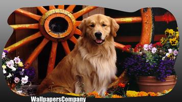 Golden Retriever Wallpaper Poster