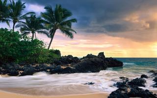 Hawaii Pack 3 Live Wallpaper 截图 1