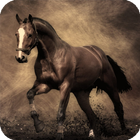 Horse Live Wallpaper-icoon