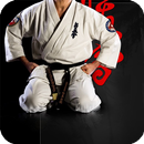 Karate Live Wallpaper APK