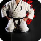 Karate Live Wallpaper icône