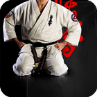 Karate Live Wallpaper simgesi