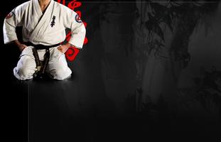 Karate Live Wallpaper 海报