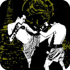 Martial Arts Live Wallpaper biểu tượng