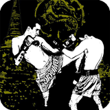 Martial Arts Live Wallpaper Zeichen