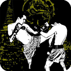 Martial Arts Live Wallpaper ikona