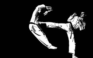 Martial Arts Live Wallpaper Screenshot 2