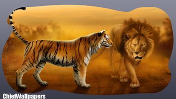 Tiger Versus Lion Wallpaper Affiche