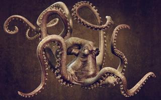 Octopus Live Wallpaper 截图 2