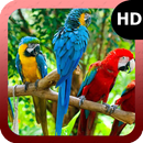 Parrot Wallpaper APK