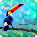 Toucan Wallpaper APK