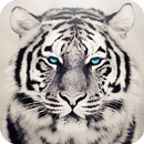 White Tiger Live Wallpaper APK