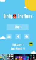 Birdy Brothers poster