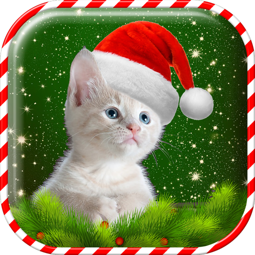 Christmas Cat Wallpaper